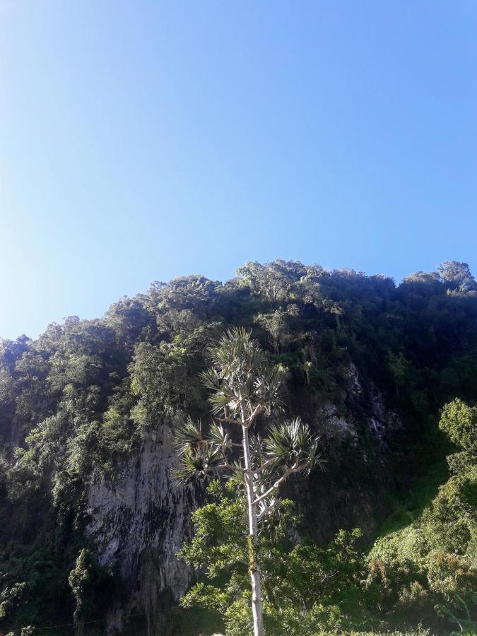 Bunga-Lodge Vanille Saint-Andre Ngoại thất bức ảnh